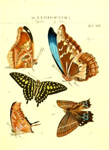 n128_w1150