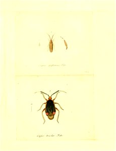 n136_w1150