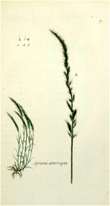 n210_w1150