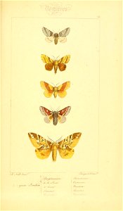 n368_w1150