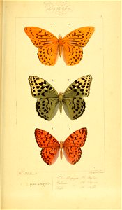 n278_w1150