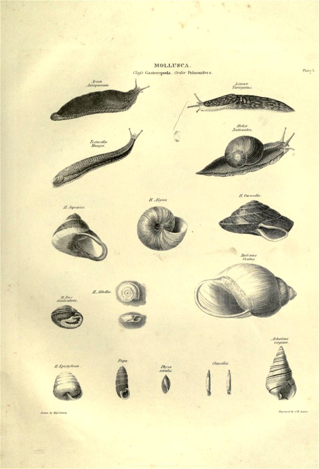 n298_w1150