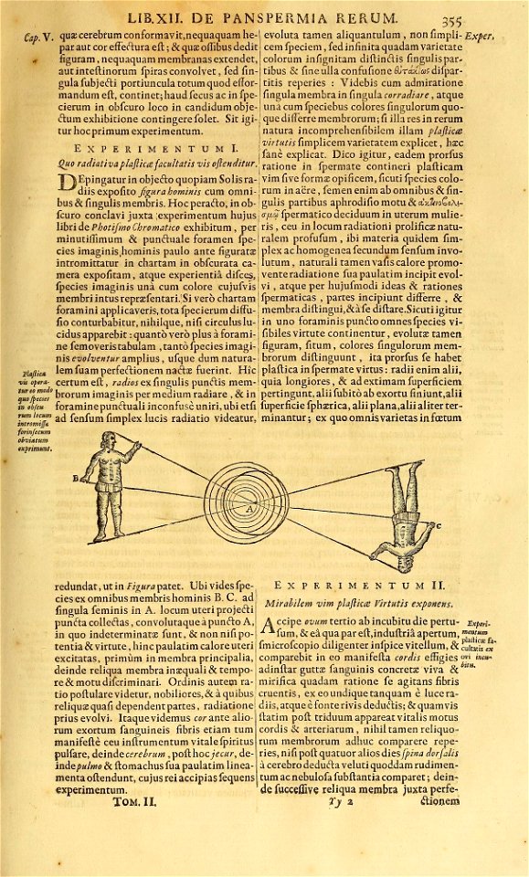 n804_w1150