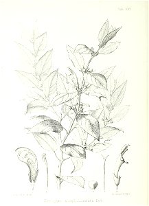 n115_w1150