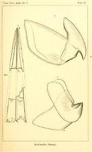 n96_w1150