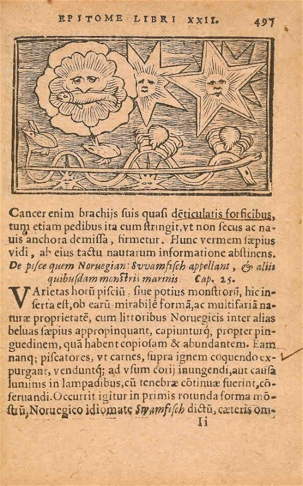 n564_w1150