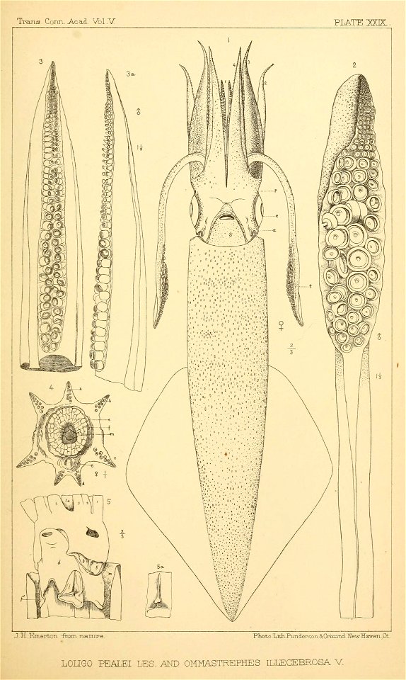 n202_w1150
