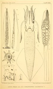 n202_w1150