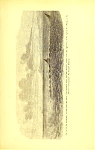 n386_w1150