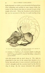 n101_w1150