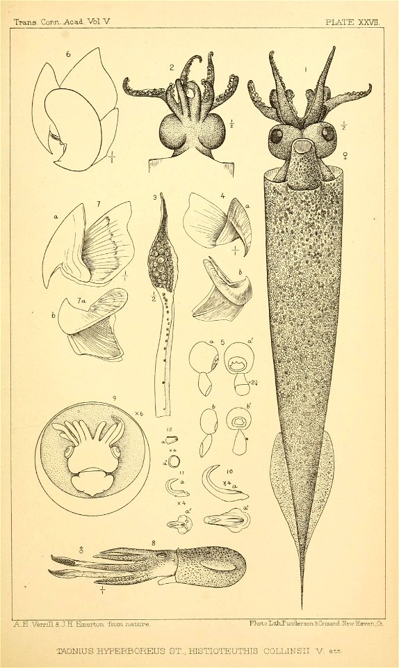 n198_w1150