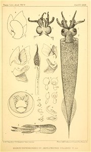 n198_w1150