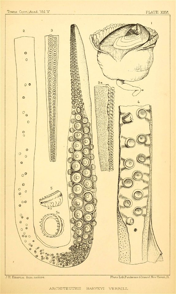 n196_w1150
