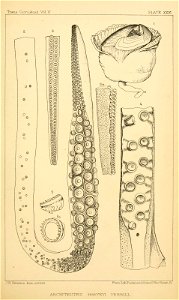 n196_w1150