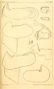 n116_w1150
