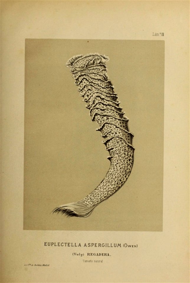 n395_w1150
