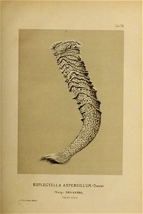 n395_w1150
