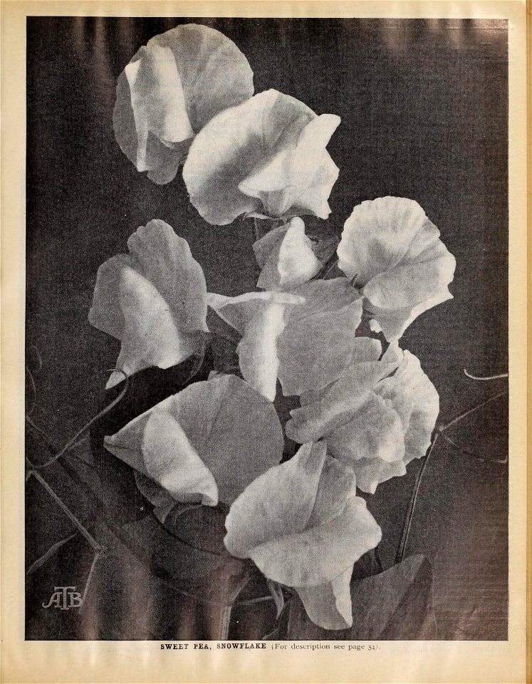 n254_w1150