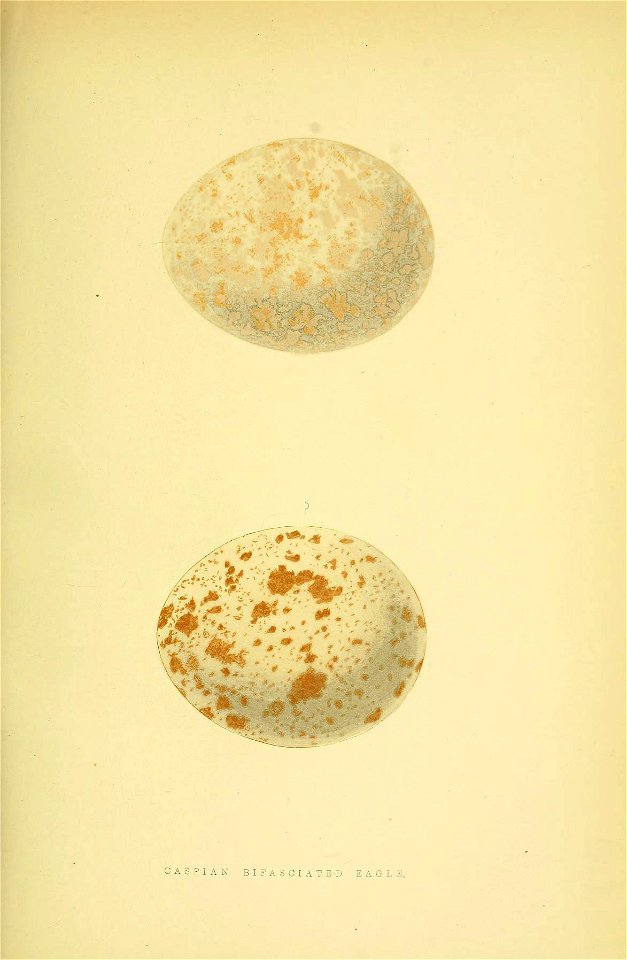 n210_w1150