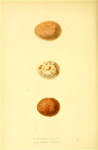 n113_w1150