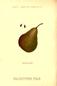 n143_w1150