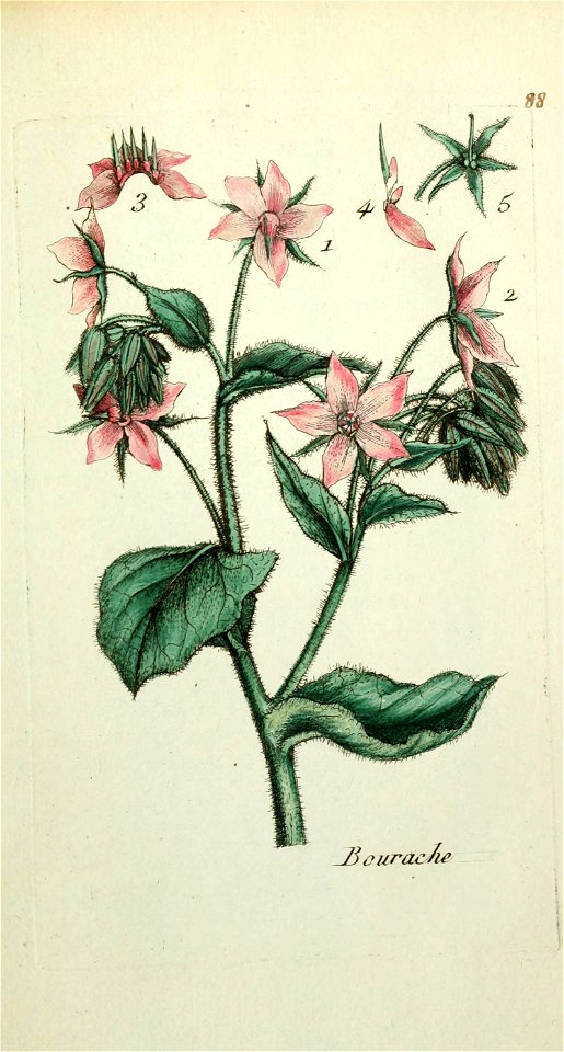 n402_w1150