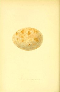 n197_w1150