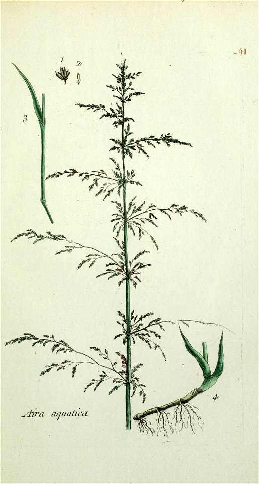 n214_w1150