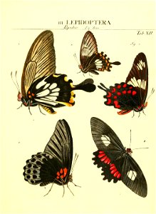 n126_w1150