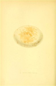 n287_w1150