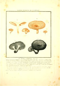 n62_w1150