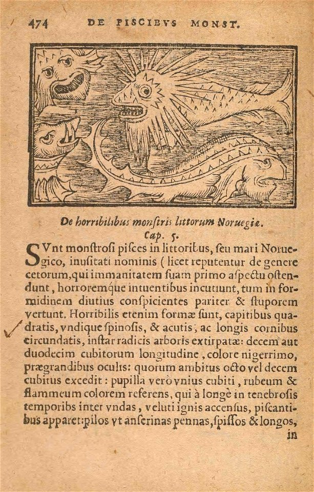 n541_w1150