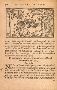 n459_w1150