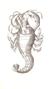 n286_w1150