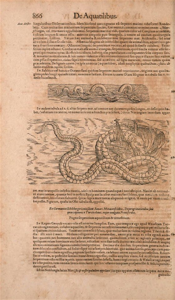 n931_w1150