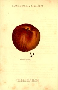 n17_w1150