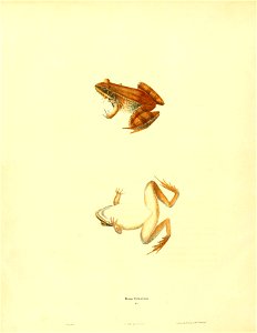 n135_w1150