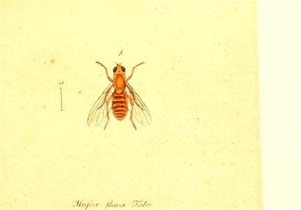 n190_w1150