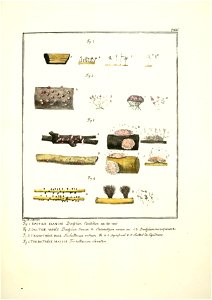 n170_w1150