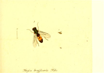 n182_w1150