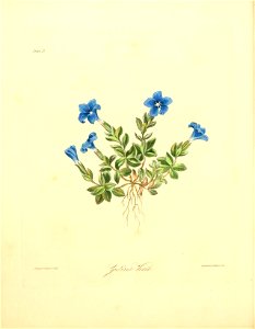 n163_w1150