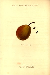 n127_w1150