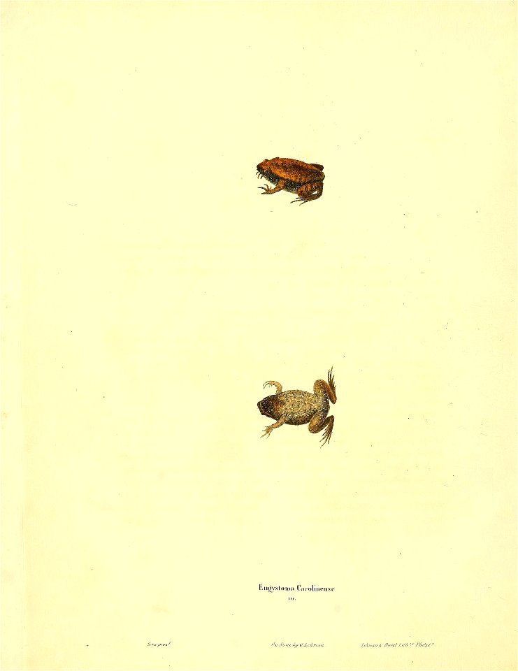n115_w1150