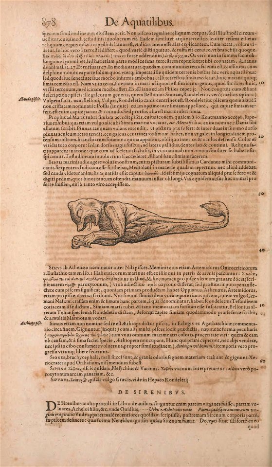 n943_w1150