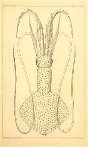 n234_w1150