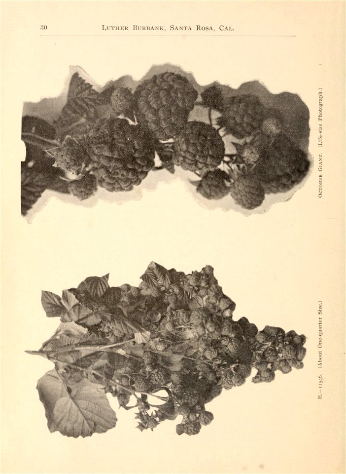 n37_w1150