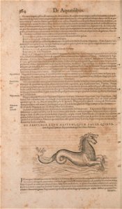 n409_w1150