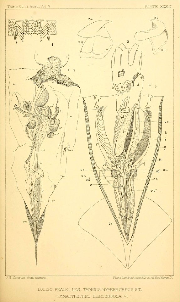 n222_w1150