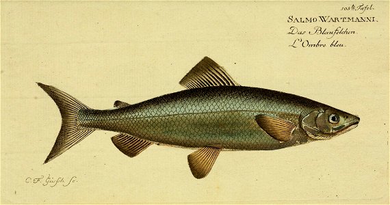n216_w1150