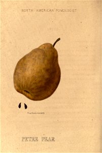 n139_w1150